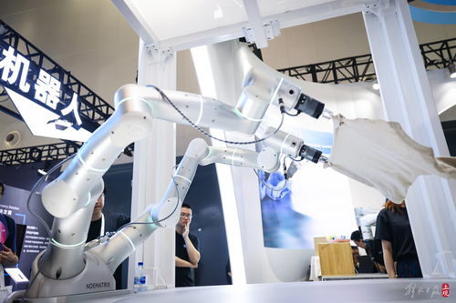 共商人工智能未來(lái) 世博展覽館再掀AI熱潮，聚焦人工智能基礎(chǔ)軟件開(kāi)發(fā)